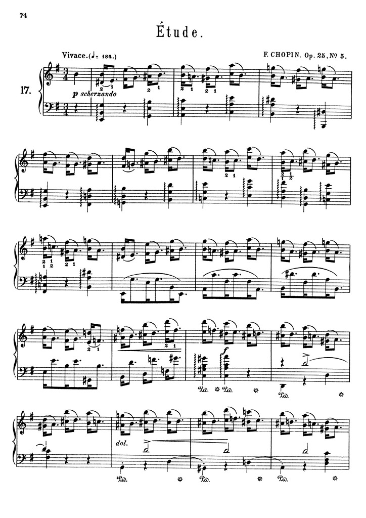 ショパン：12の練習曲 Op.25 第5番 / シャーマー サンプル